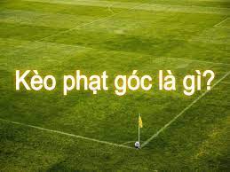 Soi Kèo Phạt Góc Là Gì? Hướng Dẫn Chi Tiết Cho Người Mới Bắt Đầu